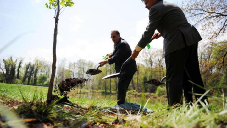 Yorkshire Water committed in 2018 to plant one million trees by 2028